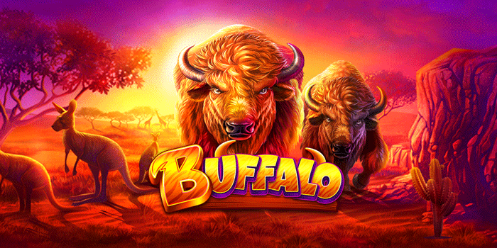 Strategi Jackpot Besar Slot Gacor Buffalo Dengan Modal Tipis